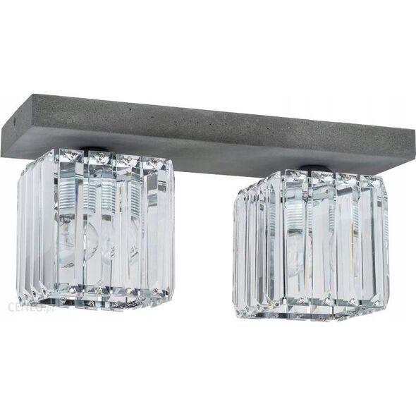 Lampa sufitowa Plafon oprawa sufitowa Spot Light Gallant 2x60W E27 beton/transparentny 2244236 13942879 5901602373064