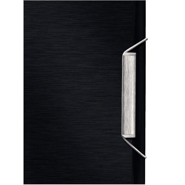Leitz TECZKA SEGREGUJĄCA 12 PRZEKŁADEK STYLE (39960094) 951681 4002432108381