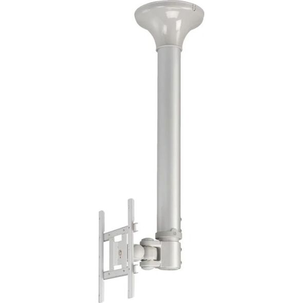 Neomounts Uchwyt sufitowy FPMA-C200 10'' - 40'' 984768 8717371441364
