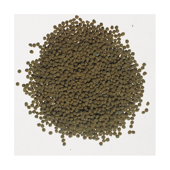 Tetra Goldfish Gold Colour 250 ml 1105349 4004218753136