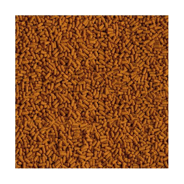 Tetra Pond KOI Colour & Growth Sticks 1 L 1105504 4004218172333