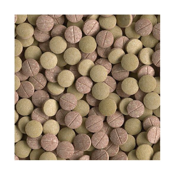 Tetra Tablets TabiMin XL 133 Tab. 1105563 4004218210011