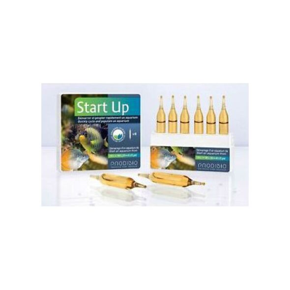 Prodibio Start Up 6 ampułek 1106979 3594200002119