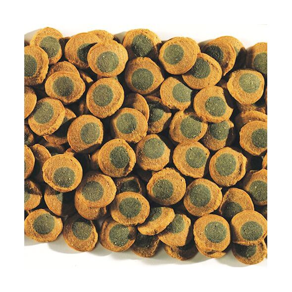 Tetra Pleco Algae Wafers 3,6 l 1108116 4004218193840