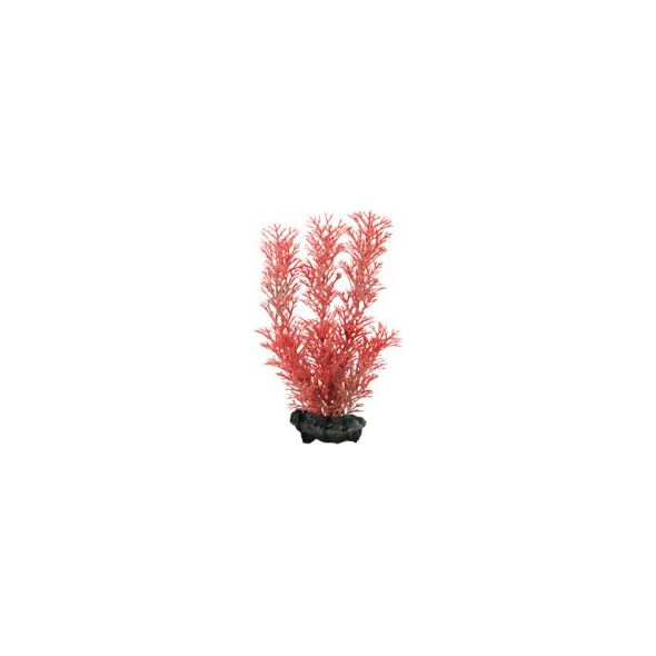 Tetra DecoArt Plant L Foxtail Red 1486332 4004218270657