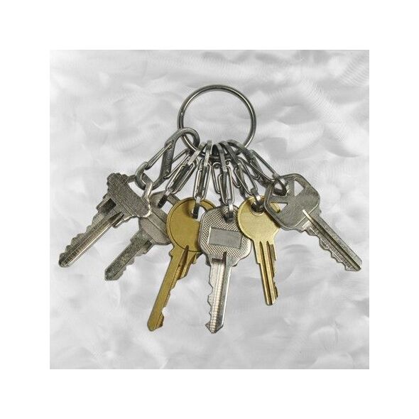 Breloczek Nite Ize KeyRing+ 6 x micro karabińczyk ze stali nierdzewnej (KRGS-11-R3) 1682665 94664026261