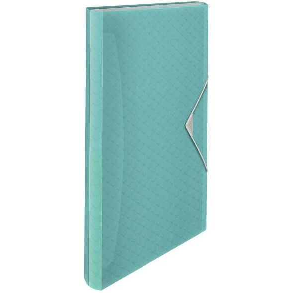 Esselte TECZKA Z PRZEGRÓDKAMI COLOUR`ICE NIEBIESKA 4936526 4049793053066