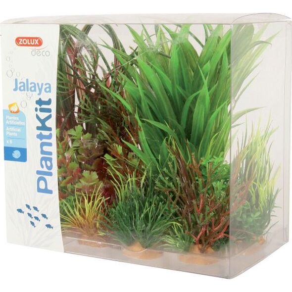 Zolux Dekoracja roślinna PlantKit Jalaya model 3 (352147) 4961158 3336023521473