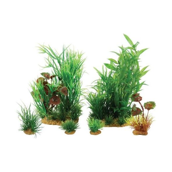 Zolux Dekoracja roślinna PlantKit Jalaya model 2 (352146) 4961159 3336023521466
