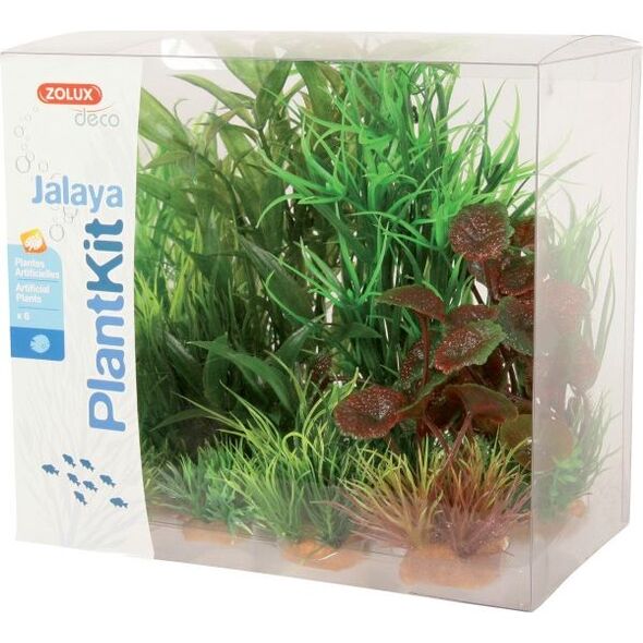 Zolux Dekoracja roślinna PlantKit Jalaya model 2 (352146) 4961159 3336023521466