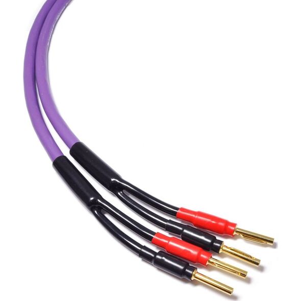 Kabel Melodika Banan x2 - Banan x2 4m fioletowy 6030633 5907609002761