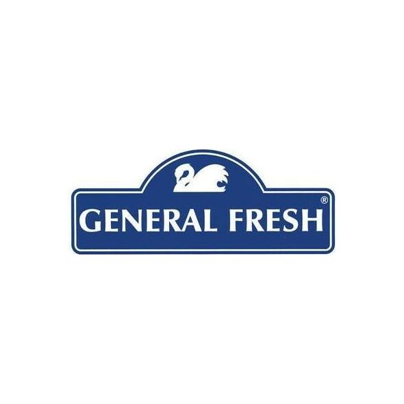 General Fresh Kostka Do Wc Barwiąca Wodę 45g Leśny General 6614116 5900785170309