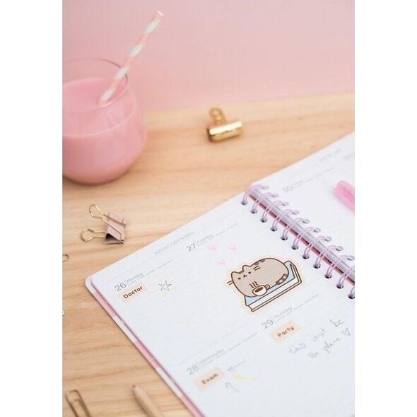 Pusheen Pusheen - Planner 2019/2020 (14 x 16 cm) uniwersalny 6784604 8435497224806