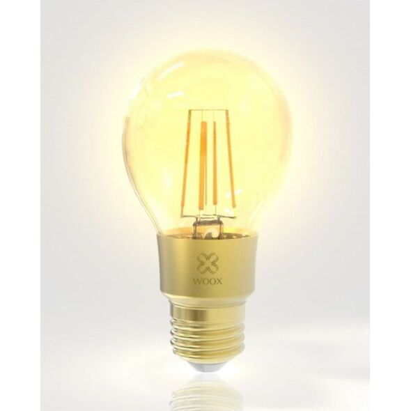 Woox SMART ŻARÓWKA RETRO LED 6W E27 FILAMENTOWA 7187546 8435606703598