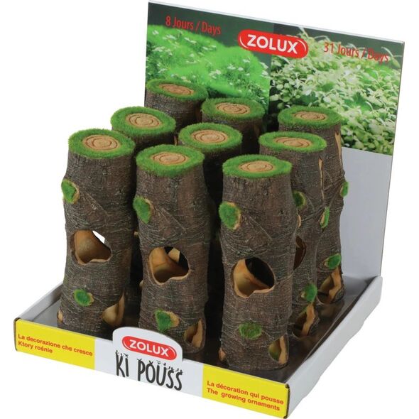 Zolux Dekoracja akwarystyczna Kipouss pień L- z nasionami żywych roślin 7544654 3336023521763