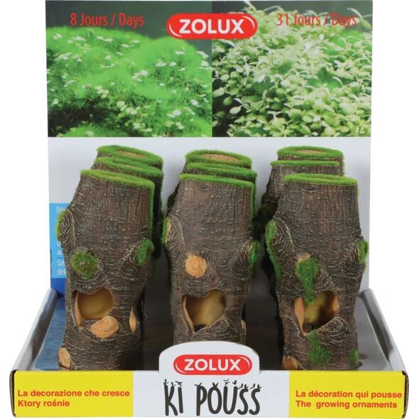 Zolux Dekoracja akwarystyczna Kipouss pień M- z nasionami żywych roślin 7544655 3336023521756