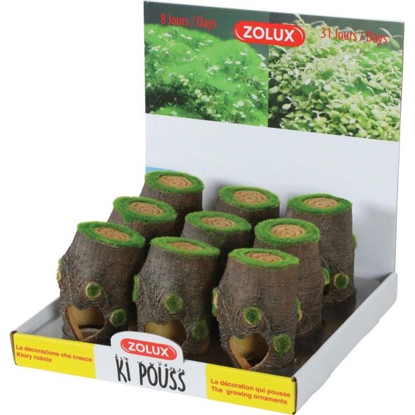 Zolux Dekoracja akwarystyczna Kipouss pień S- z nasionami żywych roślin 7544656 3336023521749