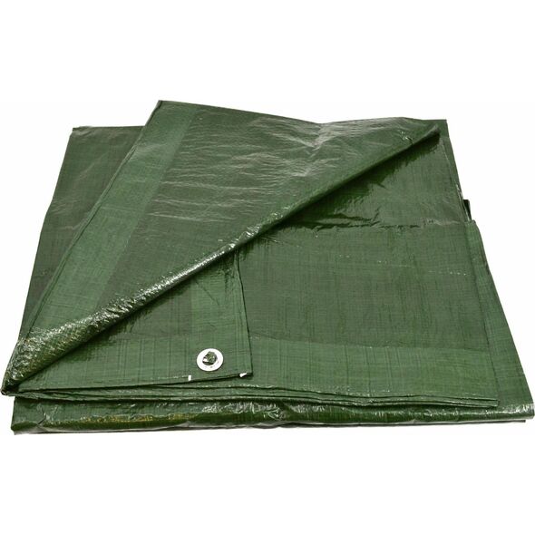 Plandeka AWTools 500 cm  x 800 cm 90 g/m2 7598045 5903678602390