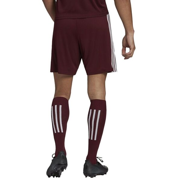 Adidas Spodenki adidas SQUADRA 21 Short GN8083 GN8083 czerwony S 8159780 4064044228802