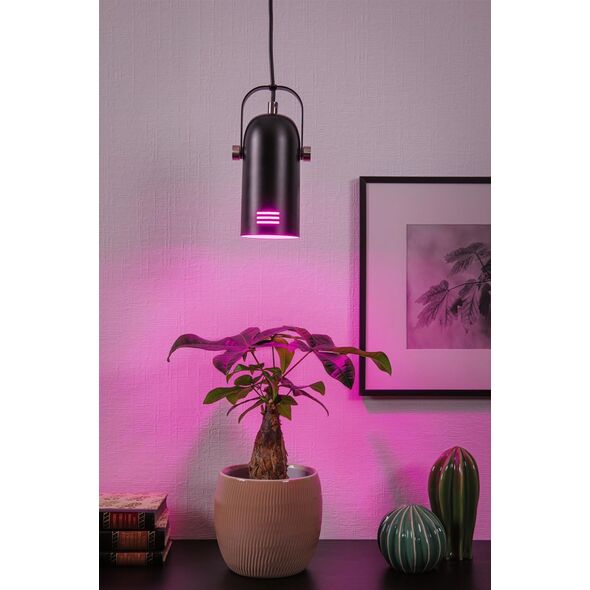 Lampa wisząca Paulmann Neordic Lavea lampa wisząca max. 1x15W E27 Schwarz 230V Metall 8196663 4000870797662