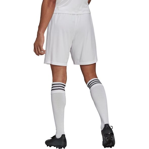 Adidas Spodenki adidas SQUADRA 21 Short GN5774 GN5774 biały L 9593359 4064044351692