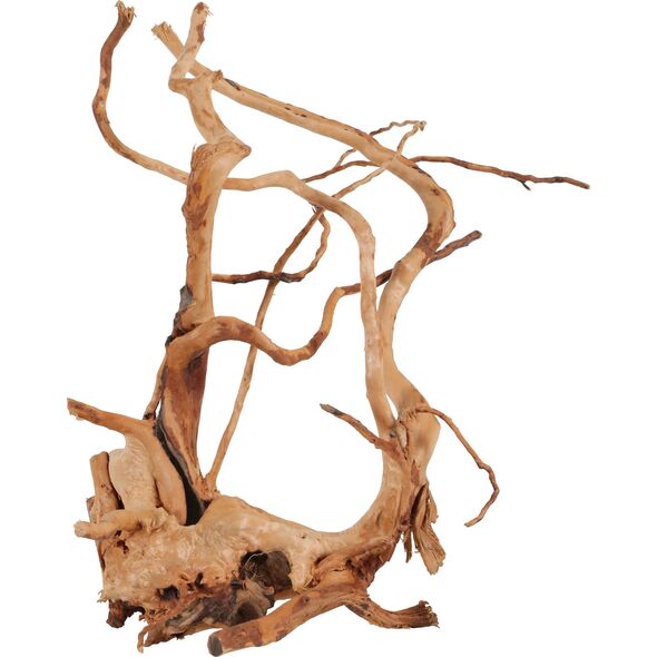 Zolux Korzeń japoński Spider Wood 40-50 cm 9598245 3336023560526
