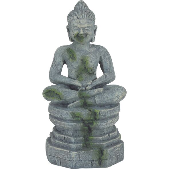 Zolux Dekoracja akwarystyczna Budda 3 9708103 3336023522043