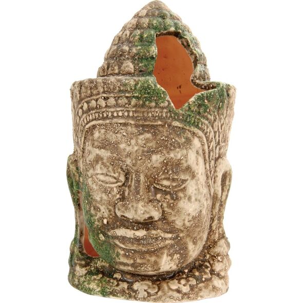 Zolux Dekoracja akw. Król Angkor 9708109 3336023555652