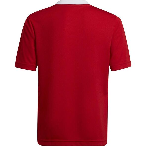 Adidas Koszulka adidas ENTRADA 22 JSY Y H57496 H57496 czerwony 152 cm 9808610 4065418757003