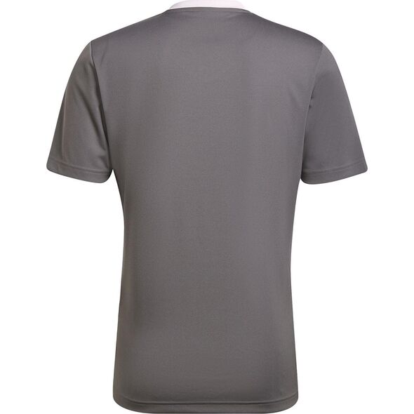 Adidas Koszulka adidas ENTRADA 22 JSY Y HE1574 HE1574 szary XL 9856981 4065418730112