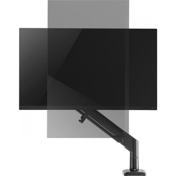Ergo Office Uchwyt biurkowy na monitor 17" - 32" (ER-405B) 9906821 5902211119623