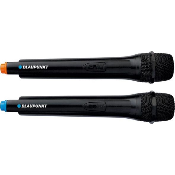 Głośnik Blaupunkt PB12DB czarny (PB12DB) 10860118 5901750505058