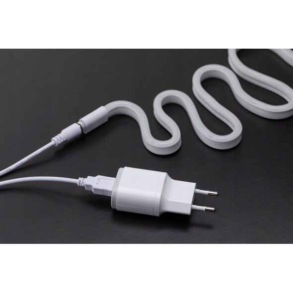 Taśma LED Paulmann Neon Colorflex USB Strip Różowy 1m 4,5W 5V Biały Tworzywo sztuczne 11221090 4000870705612