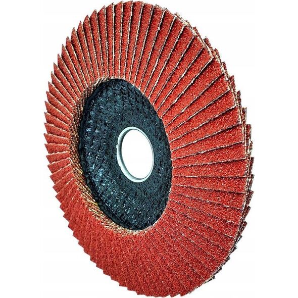 Bosch Bosch fan grinding disc SfM,125mm,K60 (grit 60) 11816848 3165140744089