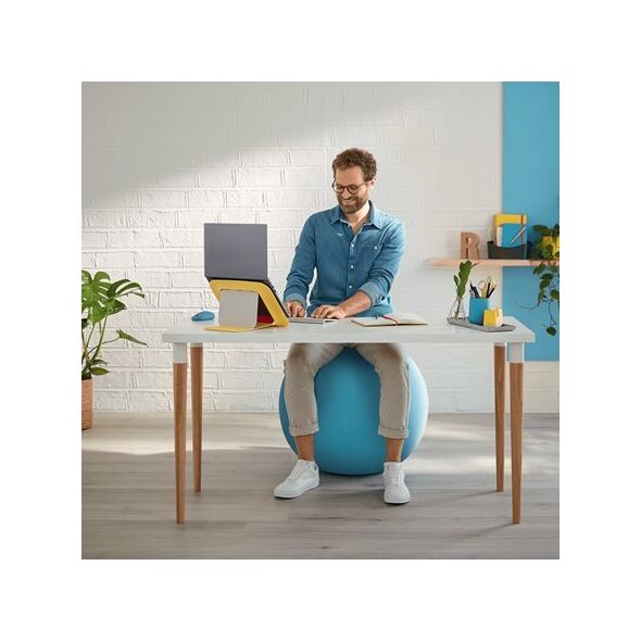 Leitz PIŁKA DO SIEDZENIA LEITZ ERGO COSY AKSAMITNY SZARY 12322492 4002432129546