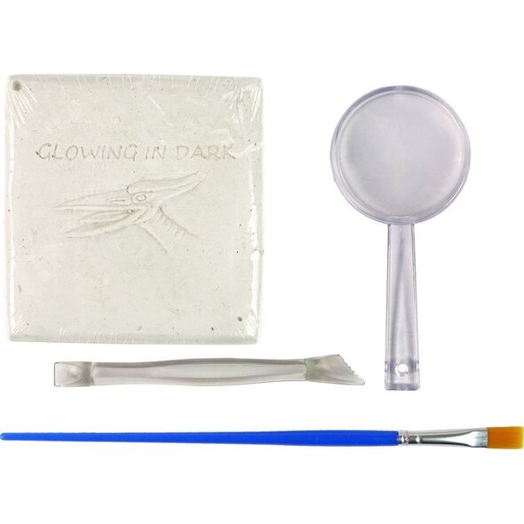 LeanToys Zestaw Archeologiczny Wykopaliska Dinozaur Szkielet Pteranodon 12530527 5905214978211