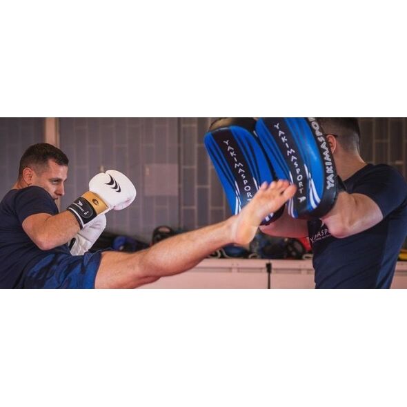 YakimaSport Rękawice bokserskie LION 14 oz 12698923 5903796710731