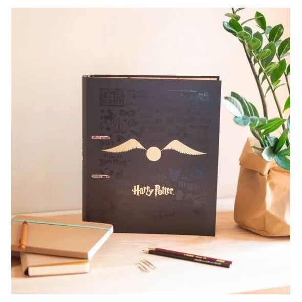 Segregator Harry Potter Harry Potter - Segregator A4 (2 ringi, gumka) 13274192 8435497234591