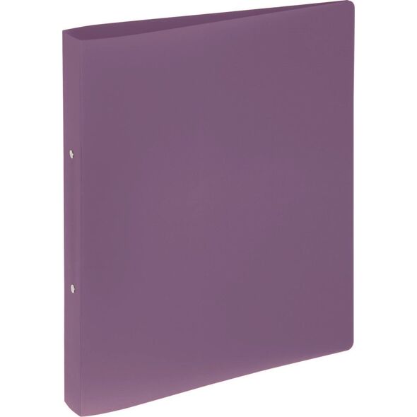 Segregator Pagna Pagna 20900-12 segregator A4 Fioletowy 13274221 4009212049124