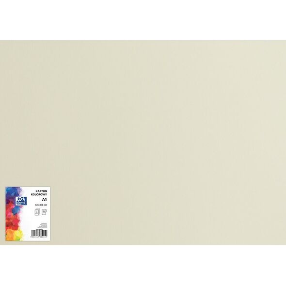 Oxford Karton Oxford A1 160g jasnoszary, JASNOSZARY 13279144 5904017384854