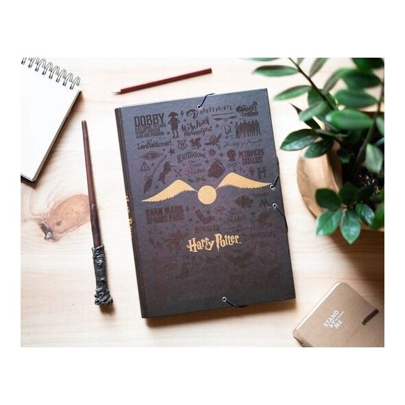 Harry Potter Harry Potter - Folder / teczka z gumką A4 (24 x 34 cm) 13305984 8435497231460