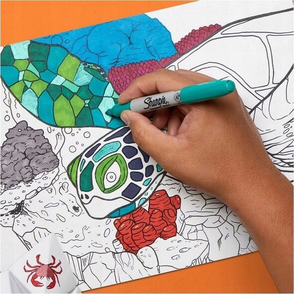 Sharpie Sharpie Marker Permanentmarker Fine Big Pack "Fish" 6 Stück 13306219 3026982012302