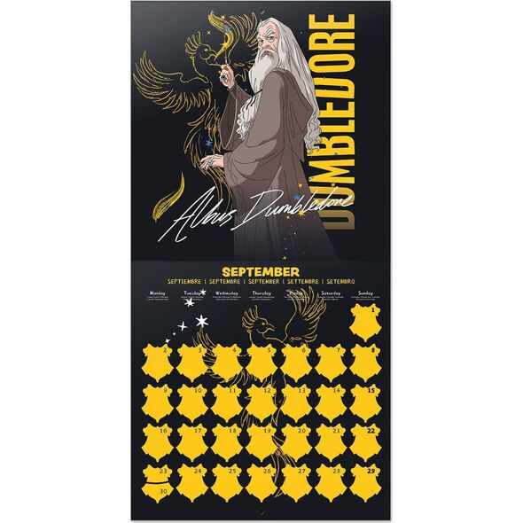 Harry Potter Harry Potter - Kalendarz ścienny 2024 rok (30 x 30 cm) 13339736 8435497286705