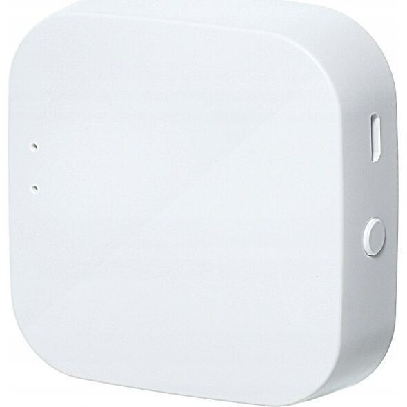 Art BRAMKA /GATEWAY/ ZIGBEE 3.0 ART oem 13341144 5906721172222
