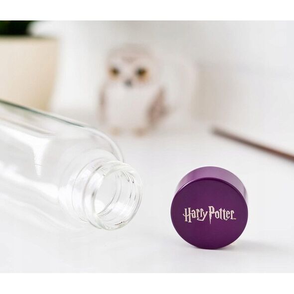 Harry Potter Harry Potter - Butelka na wodę ze szkła 500 ml (Hogwarts) 13341510 8435497271923