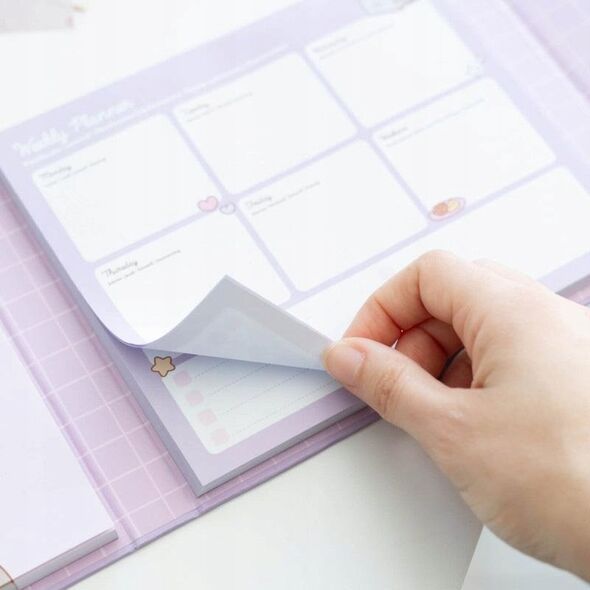 Pusheen Pusheen - Planner tygodniowy z karteczkami samoprzylepnymi z kolekcji Moments (19,3 x 16,5 cm) 13341515 8435497298814