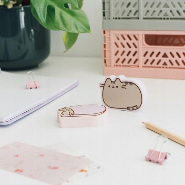 Pusheen Pusheen - Gumki do mazania z kolekcji Moments 13341517 8435497296759