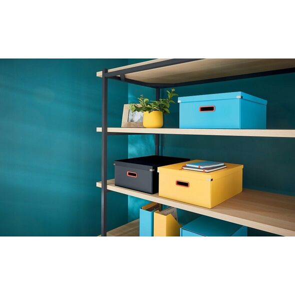 Leitz Pude�ko Leitz CS Cosy du�e ��t 13479358 4002432128631
