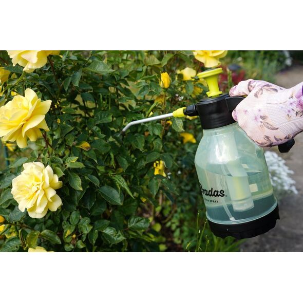 Bradas OPRYSKIWACZ RĘCZNY "AQUA SPRAY" 2,0l CLEAR 13683508 5907544452362