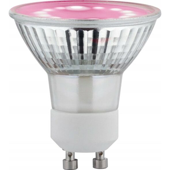 Paulmann Źródło światła prowzrostowe LED Plant GU10 3,5W 95lm 1100K 230V szkło 13684368 4000870289747